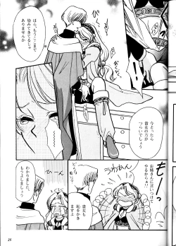 Page 25 of MODEL DX3