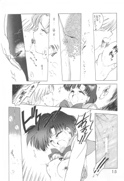 Page 14 of Star Platinum