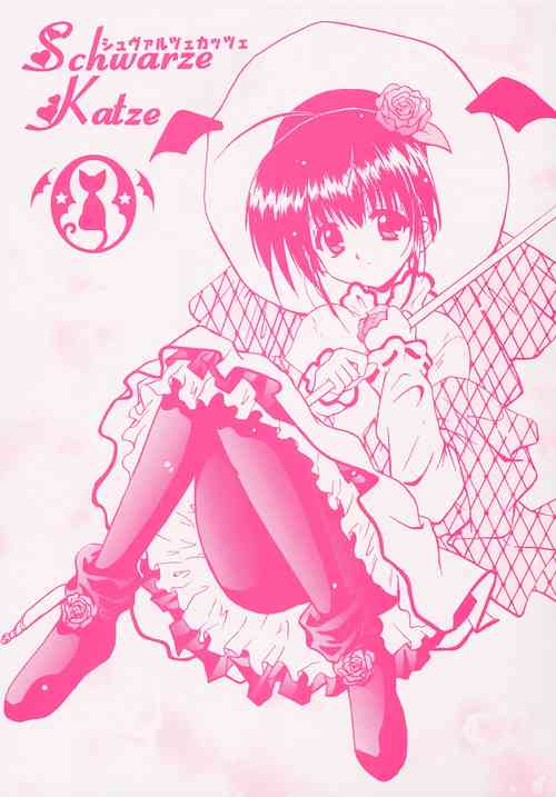 Download Schwarze Katze