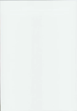 Page 2 of Chaldea Supporter