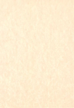 Page 4 of Hinateki Torte!