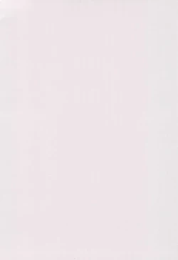 Page 4 of SINFUL CHEROKEE