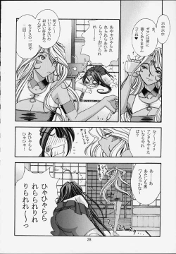 Page 29 of Shumi no Doujinshi 12