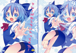 Download Cirno ga Ouchi ni Yattekita!