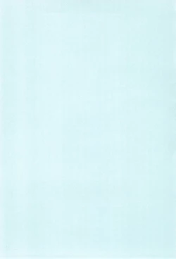 Page 4 of sun flower 2