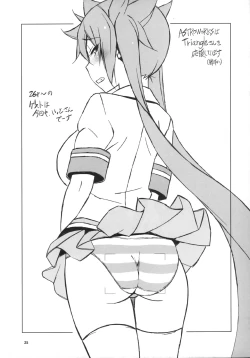 Page 26 of PRIDE BREAKER