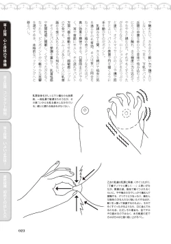 Page 25 of 処女喪失・ロストヴァージンSEX完全マニュアル イラスト版……初エッチ