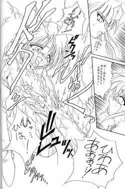 Page 19 of HYAKKA SEIHOU