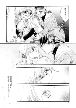 Page 65 of Midara na Kajitsu