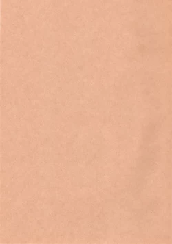 Page 3 of Sakura Ranbu Den!