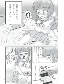 Page 29 of Fushigihen