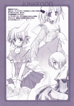 Page 31 of Junai Technician