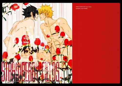 Download STRAWBERRY-FIELDS