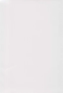 Page 4 of Kanojo wa.