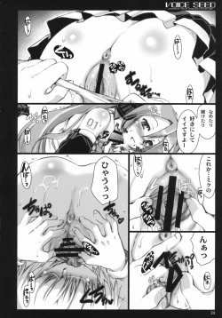 Page 19 of Voice Seed