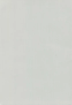 Page 2 of FAT BOY PRETTY