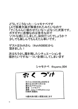 Page 17 of ODEKO BLUE BIRD II