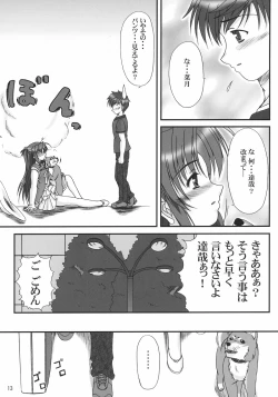 Page 12 of Ruriiro no Wakusei