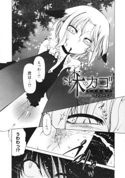 Page 329 of COMIC Megastore 2009-11