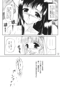 Page 33 of Shoujo Kankin 3
