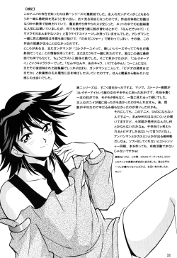 Page 32 of Corrector