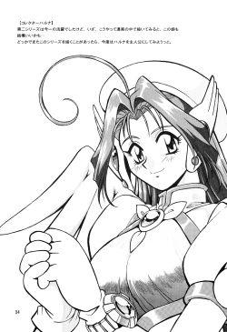 Page 33 of Corrector