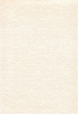 Page 4 of Codomore 2