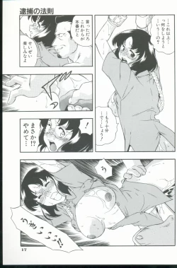 Page 18 of Kurenai No Inei
