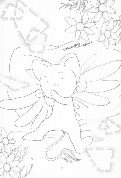 Page 25 of ROSDE CONARY BIRD