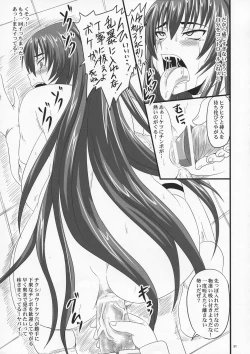 Page 31 of Do-S Hime wa Yogosareru Katajikena no Yume