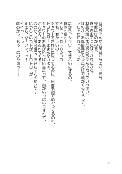 Page 29 of Shijou Saikyou no Feti?