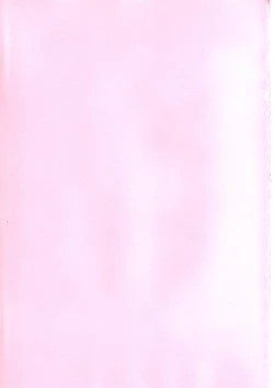 Page 31 of Mizugi de Punicure