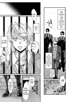 Page 5 of Retsujouhan Choukyouroku Bouryaku no Futanari Kougyaku