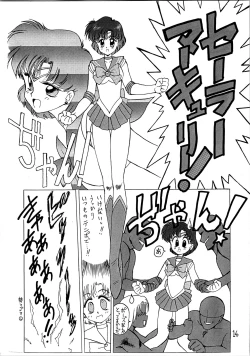 Page 15 of SUBMISSION MERCURY