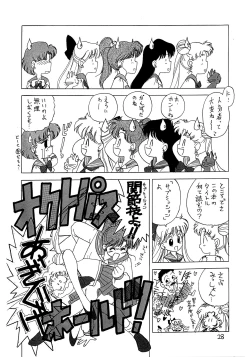 Page 29 of SUBMISSION MERCURY