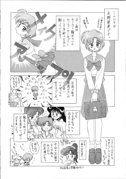 Page 3 of SUBMISSION MERCURY