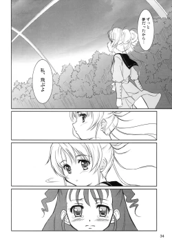 Page 33 of IROIRO INO!