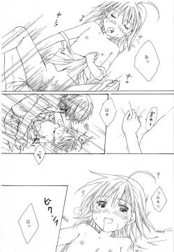 Page 14 of Accelerator x Last Order