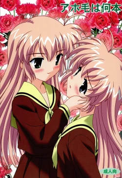 Page 1 of Ahoge wa Nanbon