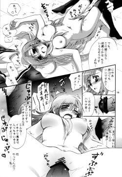 Page 14 of Hina Supa