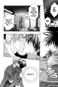 Page 29 of Aruhi Totsuzen Koi wa Kuru!