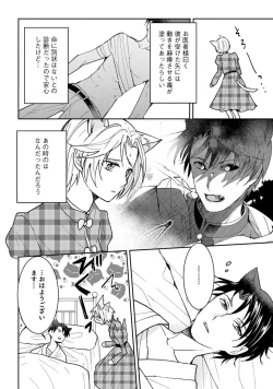 Page 4 of 獣人騎士の敬愛 第2-5話