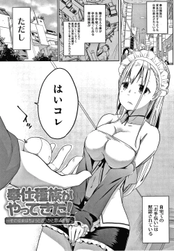 Page 146 of Houshi Shuzoku ga Yattekita!