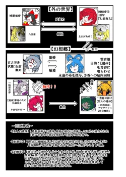 Page 4 of [Gesukabi Baiyousou (Dr. Chocorata)] -anjir- ~Kouhen I~ (Touhou Project) [Digital]