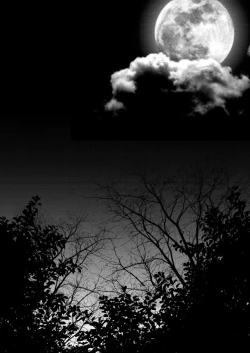 Page 9 of Fugutaiten