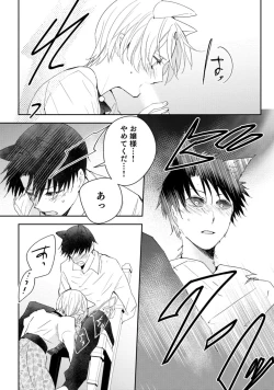 Page 25 of 獣人騎士の敬愛 第10話