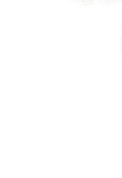 Page 3 of Sanchoume no Sacchan