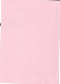 Page 2 of Flora-san to Baikiruto!