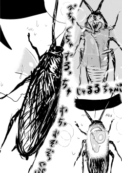 Page 25 of Gokiburi ni Okasareru Mikasa