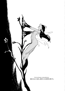 Page 20 of FERNANDES PIXY SHOP